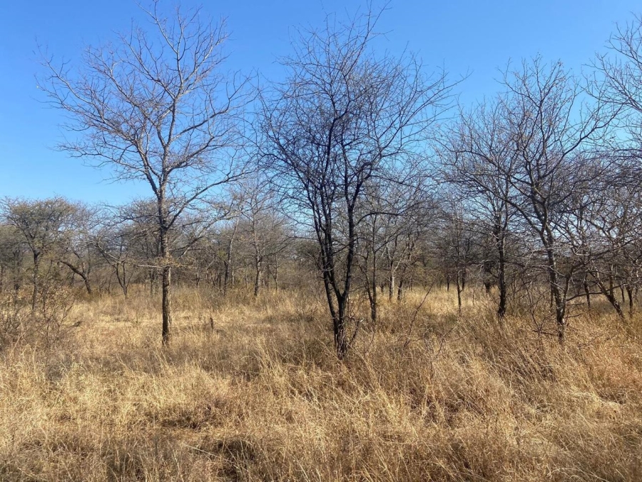 0 Bedroom Property for Sale in Thabazimbi Limpopo