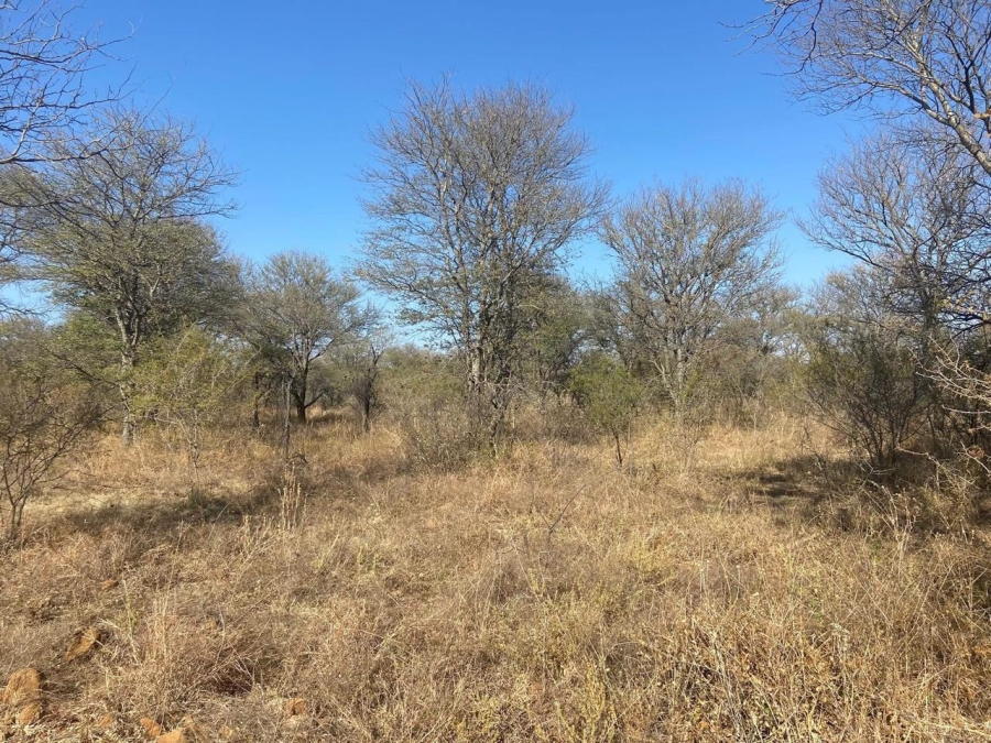 0 Bedroom Property for Sale in Thabazimbi Limpopo