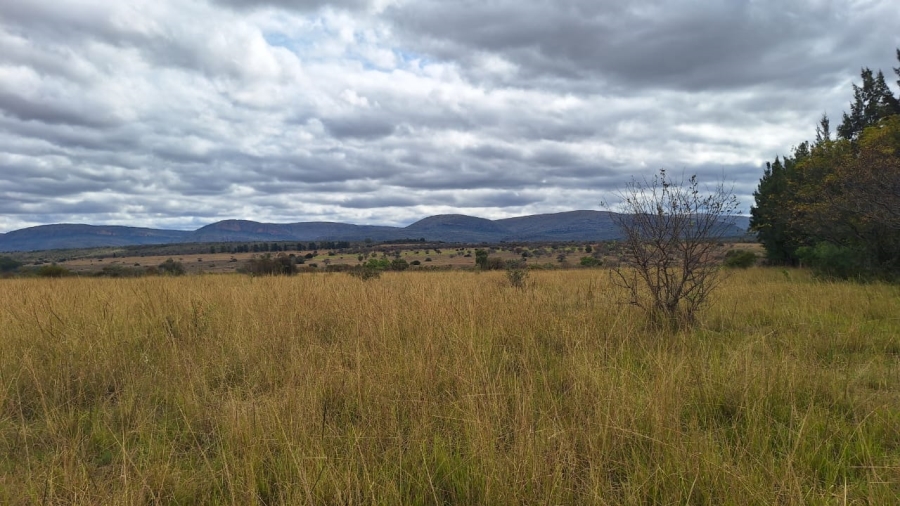 8 Bedroom Property for Sale in Mookgopong Limpopo