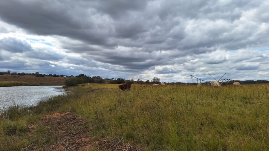 8 Bedroom Property for Sale in Mookgopong Limpopo