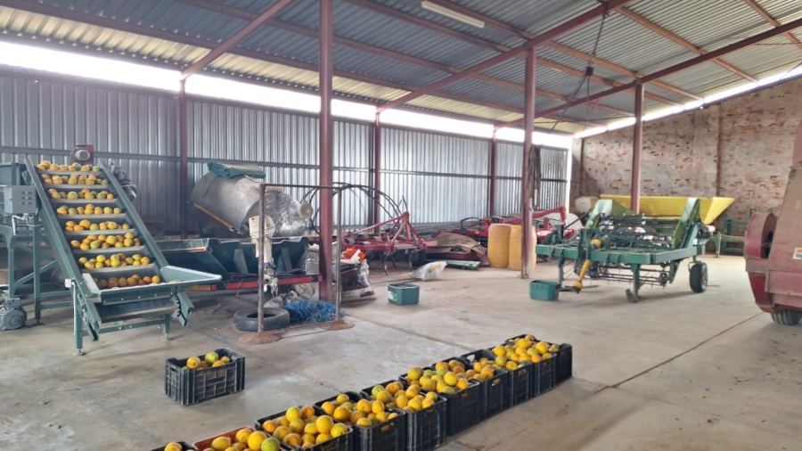 8 Bedroom Property for Sale in Mookgopong Limpopo