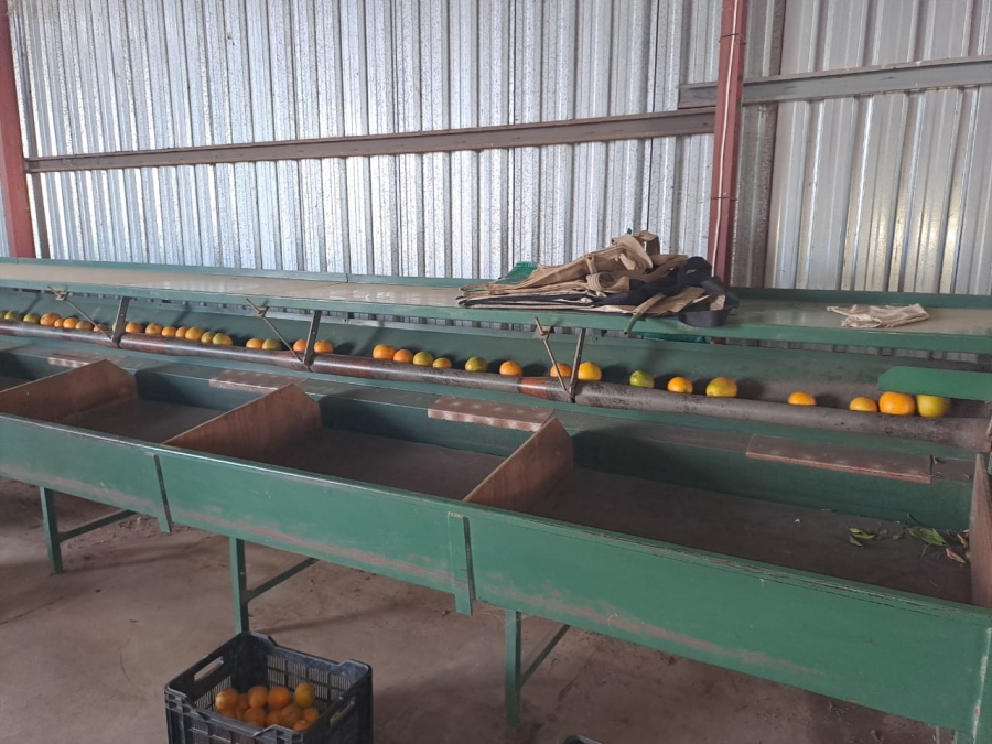 8 Bedroom Property for Sale in Mookgopong Limpopo