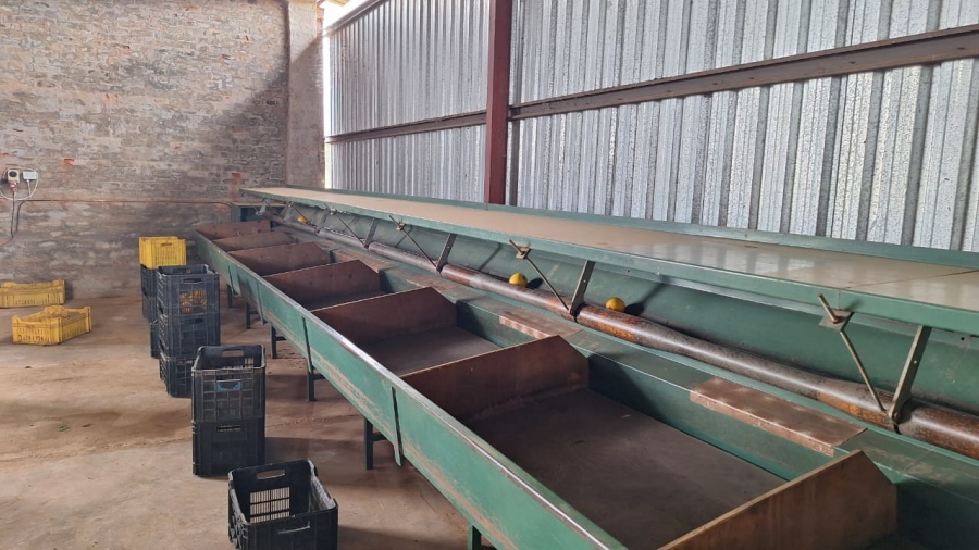 8 Bedroom Property for Sale in Mookgopong Limpopo