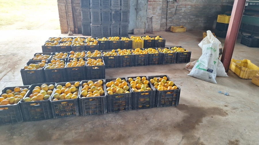 8 Bedroom Property for Sale in Mookgopong Limpopo