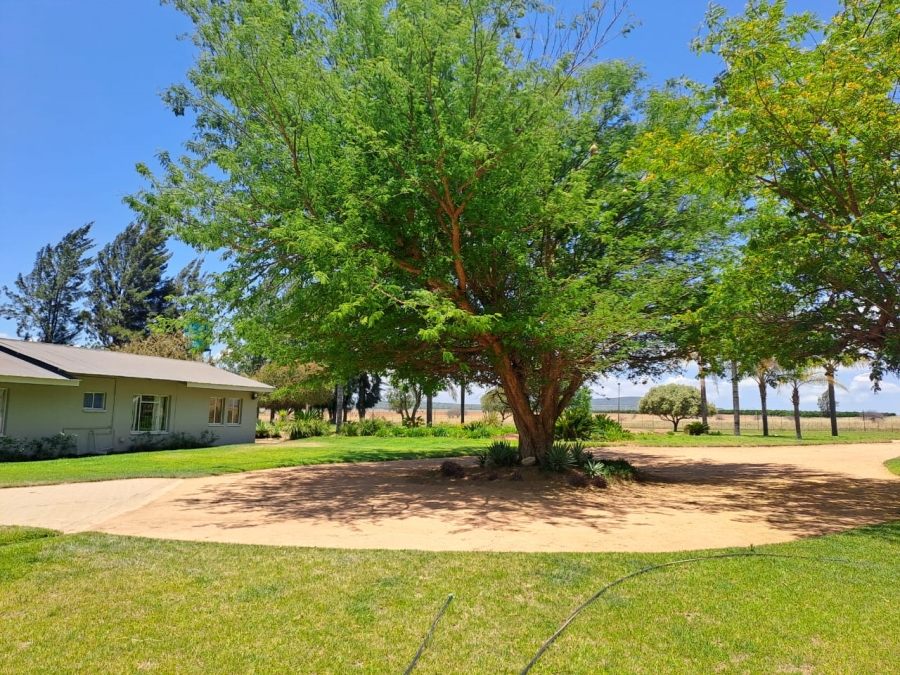 8 Bedroom Property for Sale in Mookgopong Limpopo