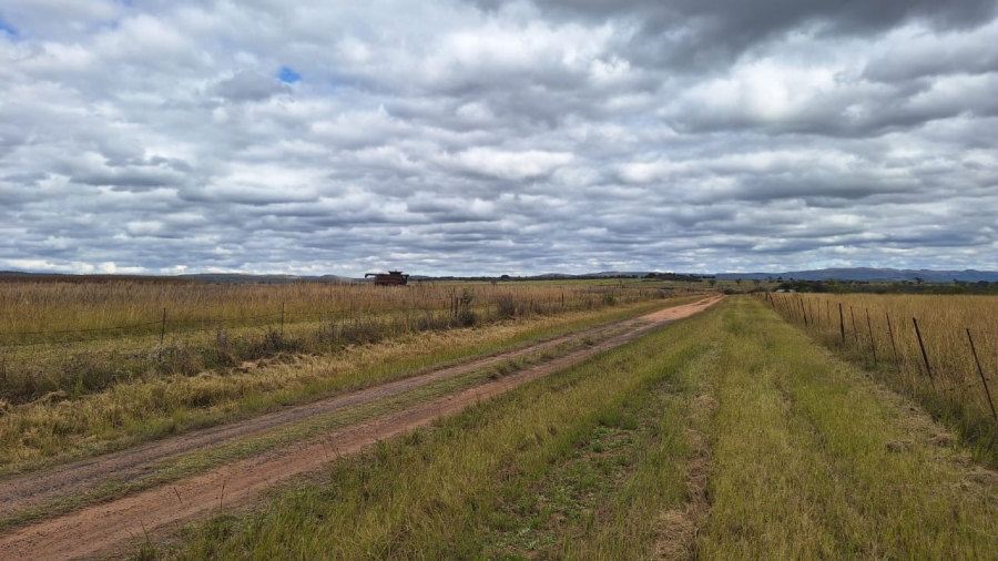 8 Bedroom Property for Sale in Mookgopong Limpopo