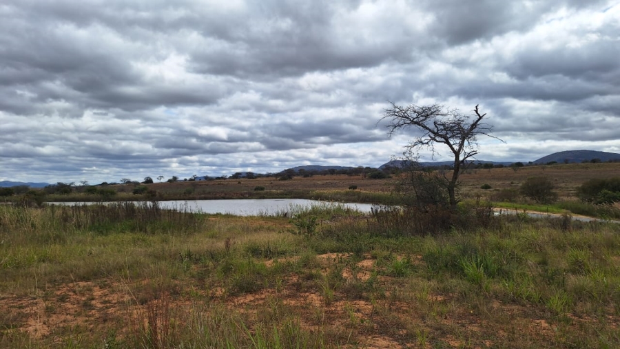 8 Bedroom Property for Sale in Mookgopong Limpopo