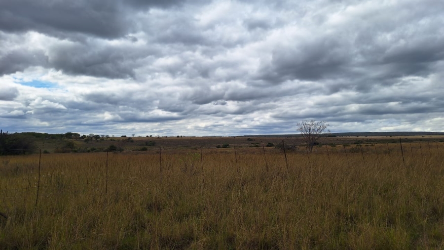 8 Bedroom Property for Sale in Mookgopong Limpopo