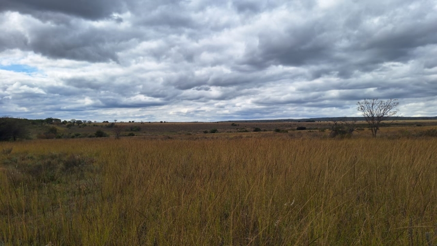 8 Bedroom Property for Sale in Mookgopong Limpopo