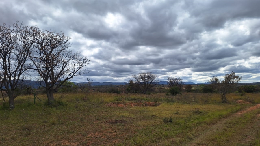 8 Bedroom Property for Sale in Mookgopong Limpopo