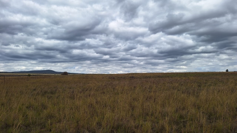 8 Bedroom Property for Sale in Mookgopong Limpopo