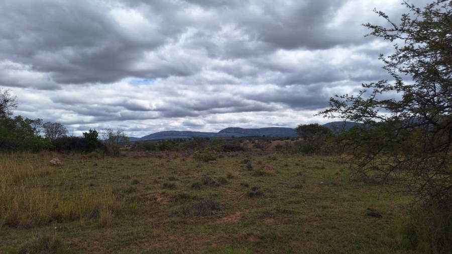 8 Bedroom Property for Sale in Mookgopong Limpopo