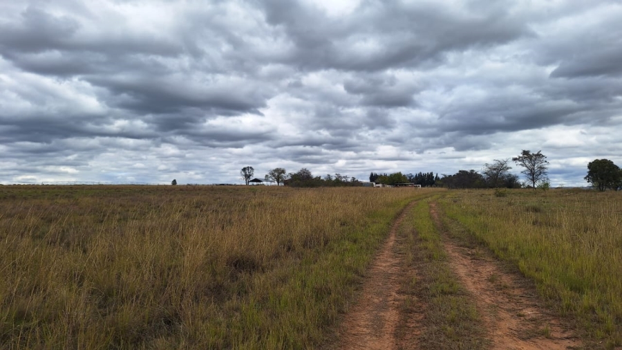 8 Bedroom Property for Sale in Mookgopong Limpopo