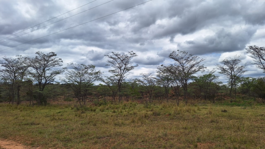 8 Bedroom Property for Sale in Mookgopong Limpopo