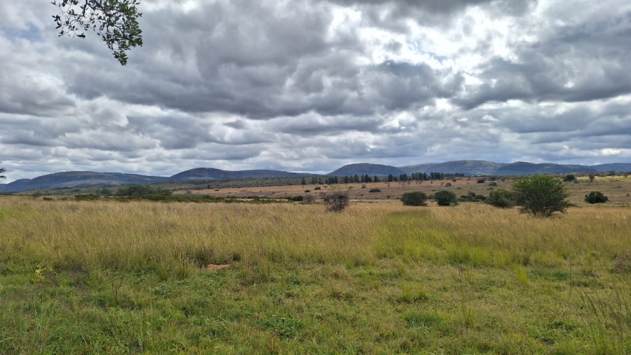 8 Bedroom Property for Sale in Mookgopong Limpopo