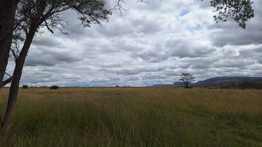 8 Bedroom Property for Sale in Mookgopong Limpopo