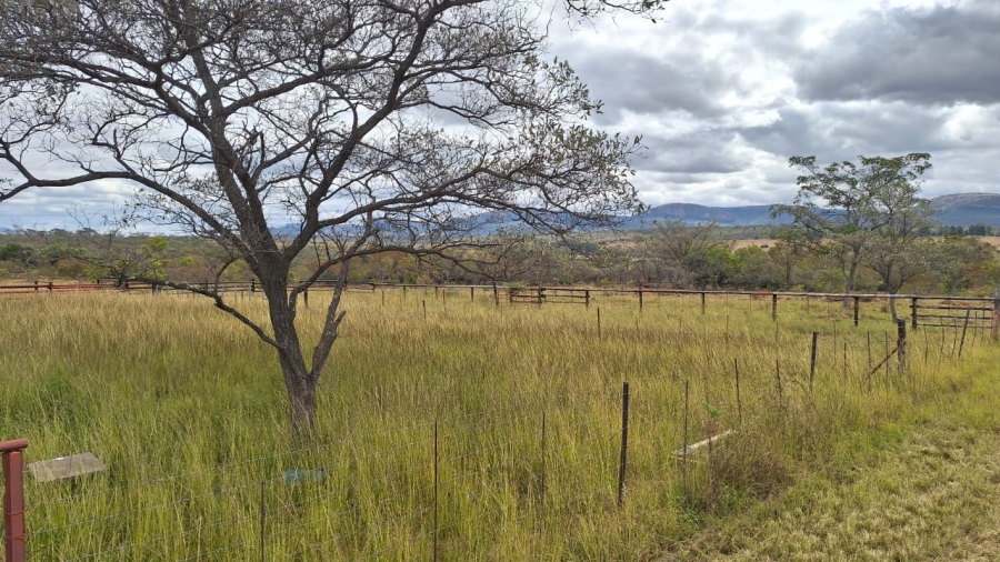 8 Bedroom Property for Sale in Mookgopong Limpopo