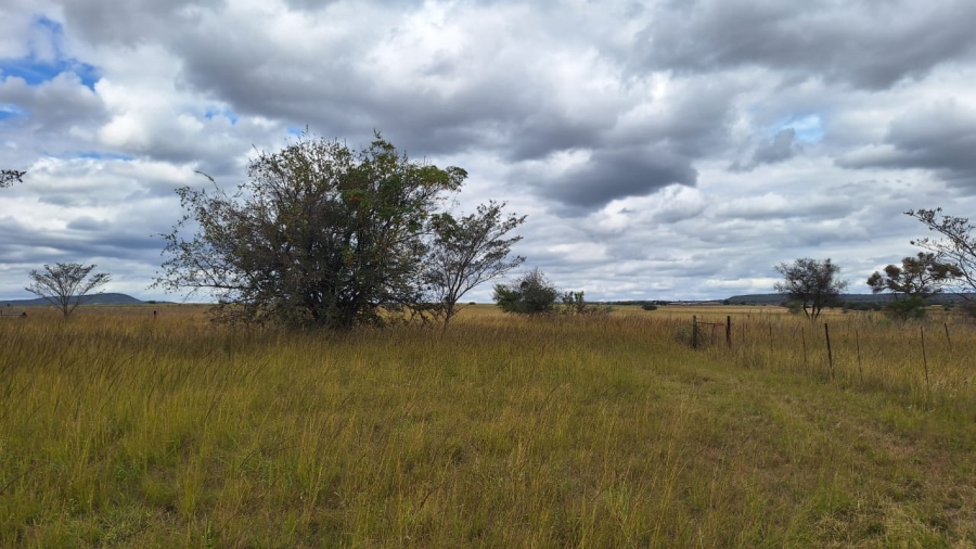 8 Bedroom Property for Sale in Mookgopong Limpopo