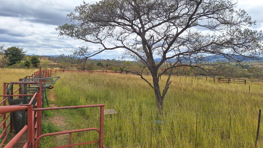 8 Bedroom Property for Sale in Mookgopong Limpopo