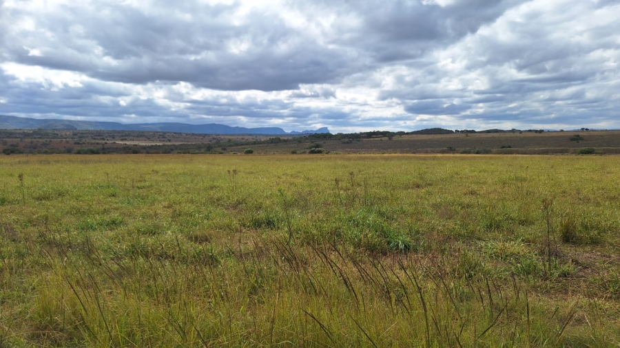 8 Bedroom Property for Sale in Mookgopong Limpopo