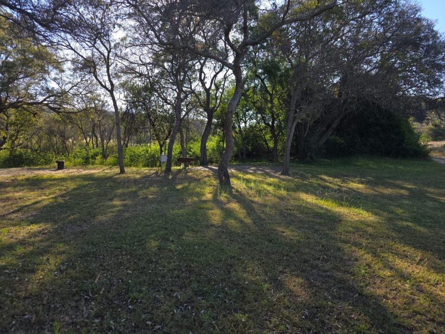 3 Bedroom Property for Sale in Bela Bela Limpopo