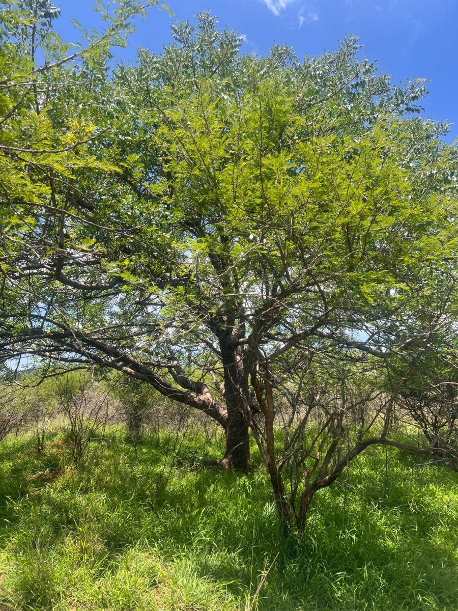 2 Bedroom Property for Sale in Maribashoek AH Limpopo