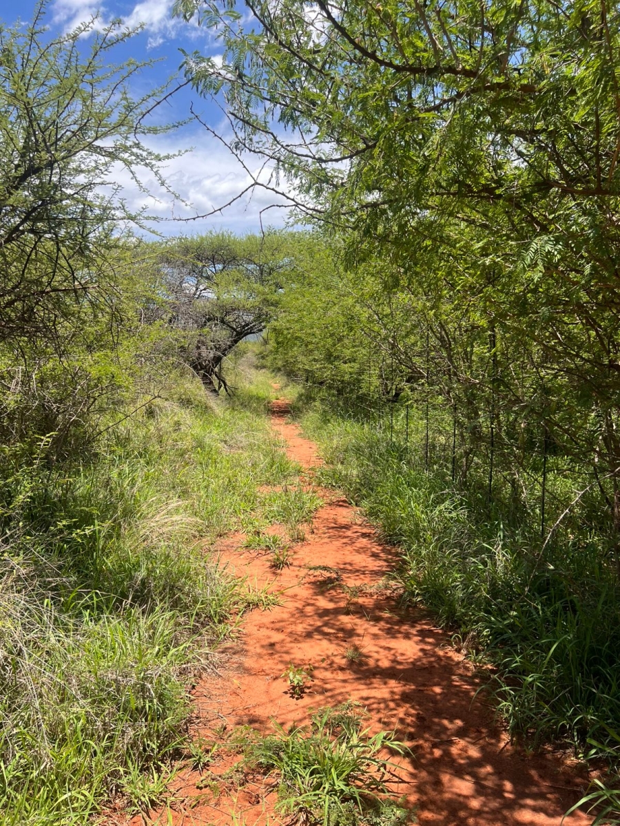 2 Bedroom Property for Sale in Maribashoek AH Limpopo