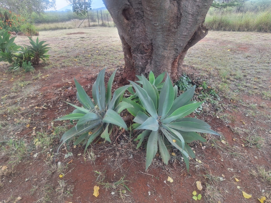2 Bedroom Property for Sale in Maribashoek AH Limpopo