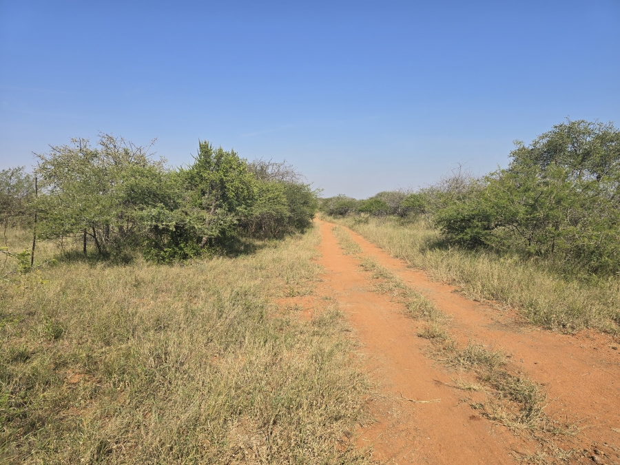 0 Bedroom Property for Sale in Dendron Limpopo