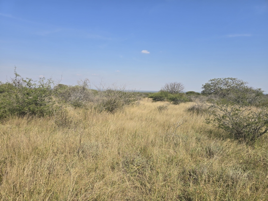 0 Bedroom Property for Sale in Dendron Limpopo