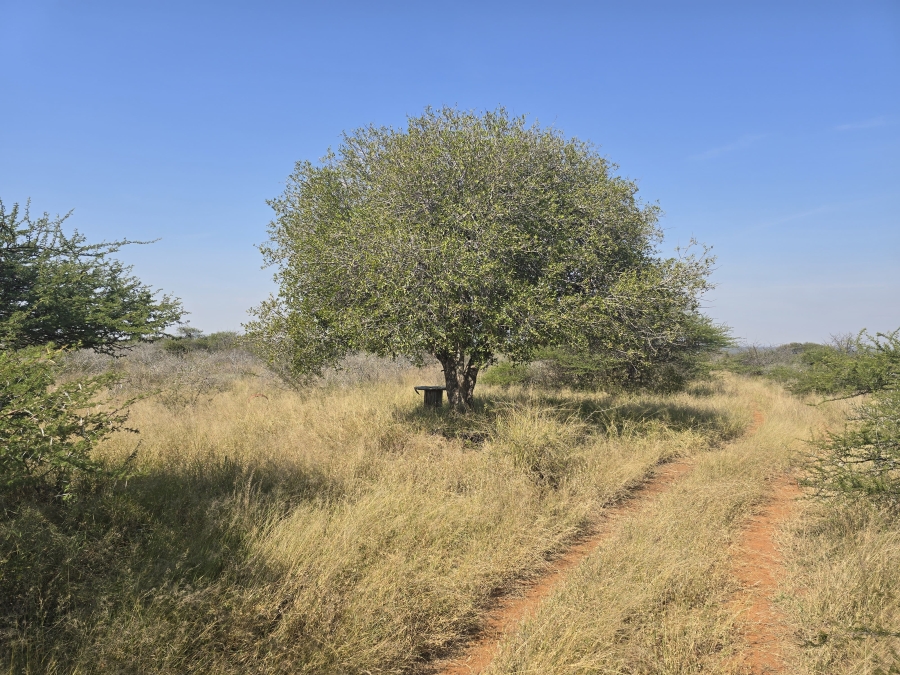 0 Bedroom Property for Sale in Dendron Limpopo