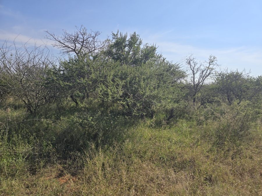 0 Bedroom Property for Sale in Dendron Limpopo