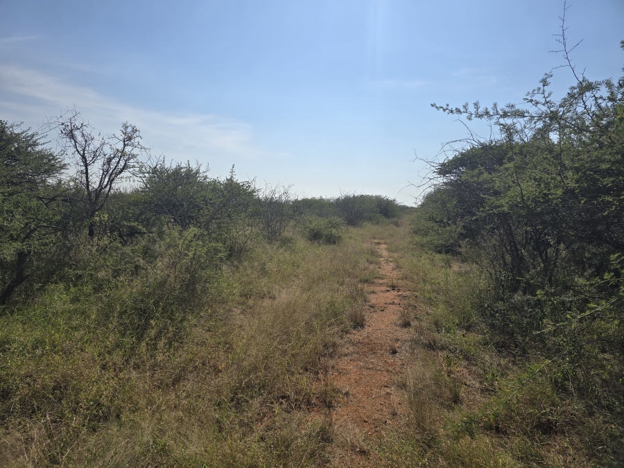 0 Bedroom Property for Sale in Dendron Limpopo