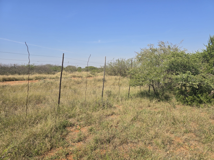 0 Bedroom Property for Sale in Dendron Limpopo