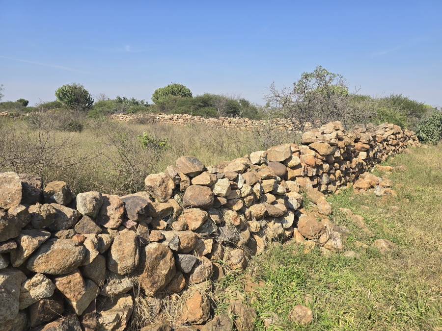 0 Bedroom Property for Sale in Dendron Limpopo