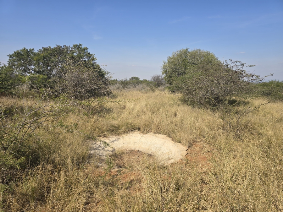 0 Bedroom Property for Sale in Dendron Limpopo