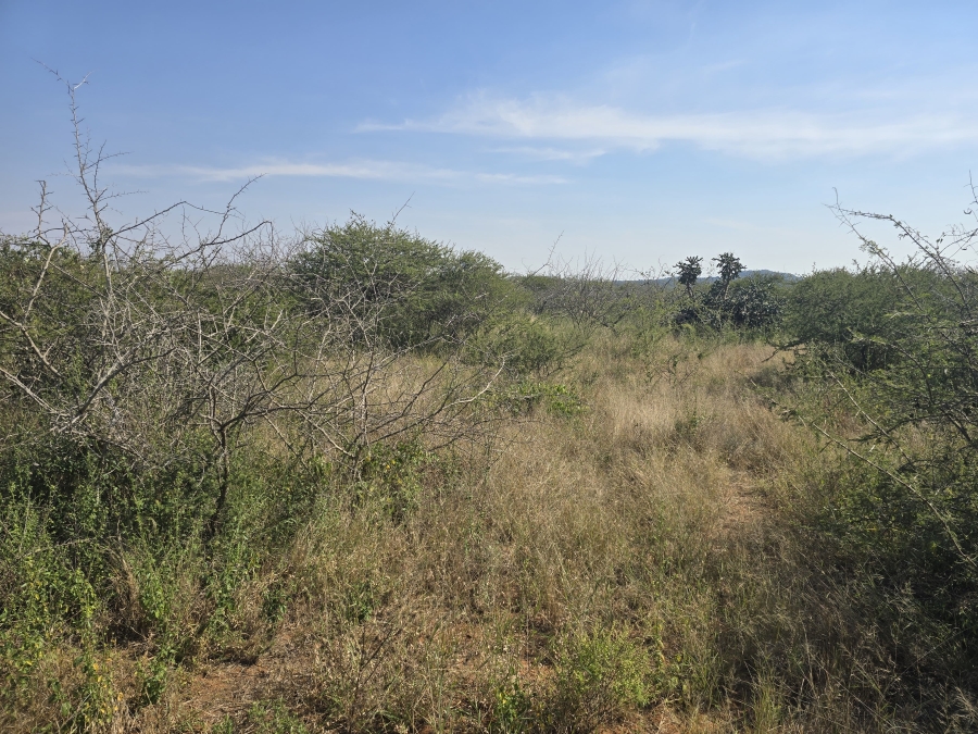 0 Bedroom Property for Sale in Dendron Limpopo