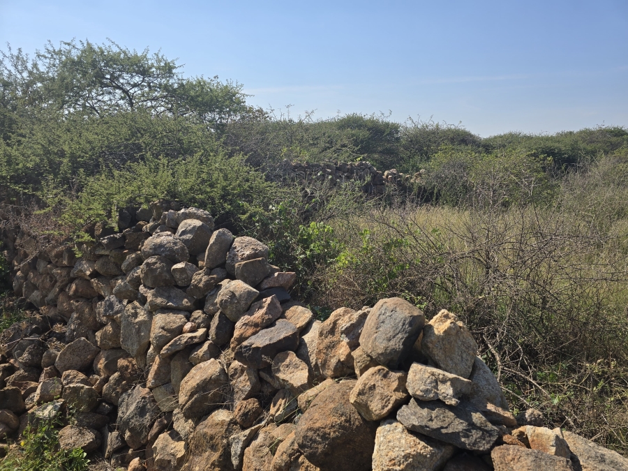 0 Bedroom Property for Sale in Dendron Limpopo