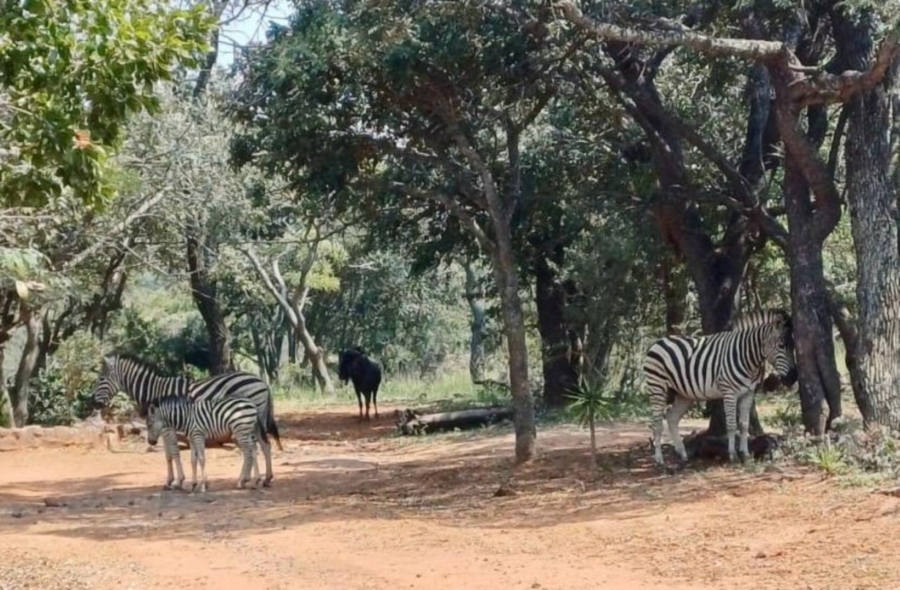 0 Bedroom Property for Sale in Modimolle Limpopo