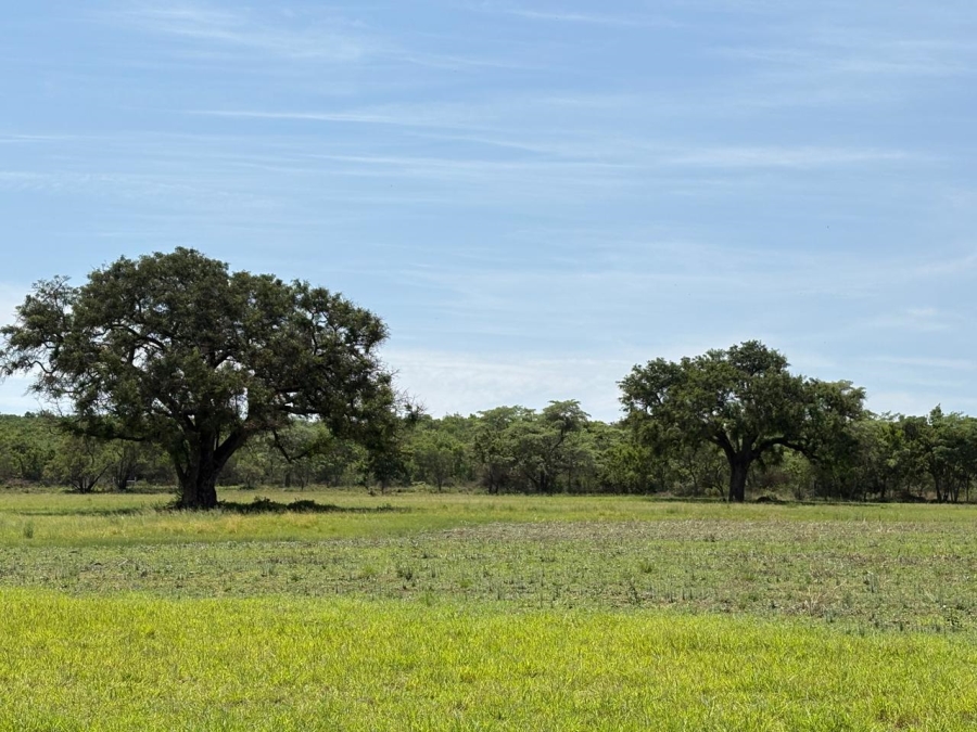 3 Bedroom Property for Sale in Modimolle Limpopo