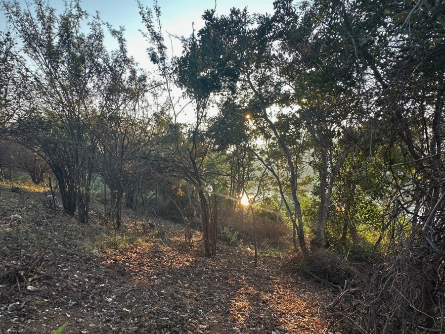 0 Bedroom Property for Sale in Elephant Rock Eco Estate Limpopo