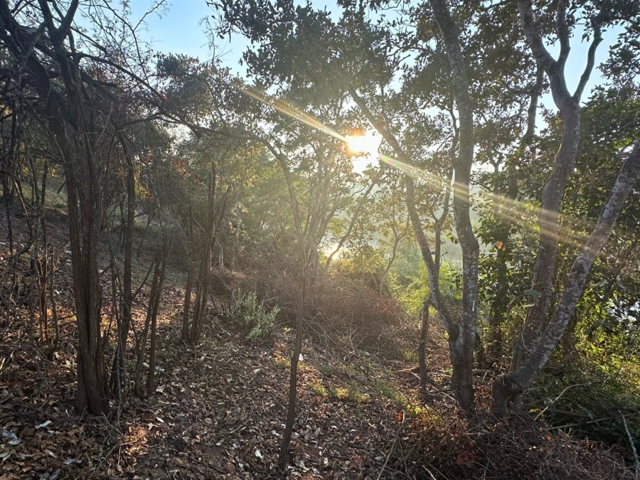 0 Bedroom Property for Sale in Elephant Rock Eco Estate Limpopo