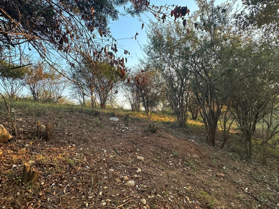 0 Bedroom Property for Sale in Elephant Rock Eco Estate Limpopo