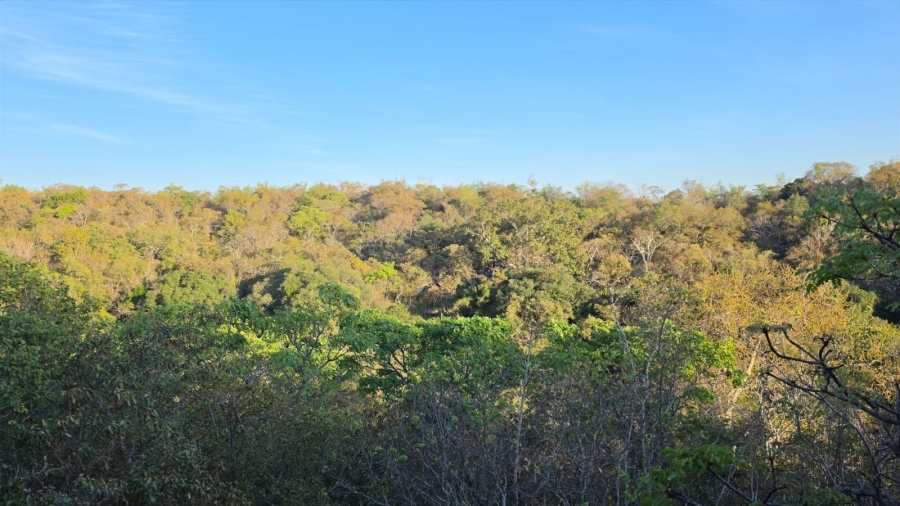 0 Bedroom Property for Sale in Verloren Estate Limpopo