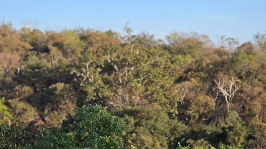0 Bedroom Property for Sale in Verloren Estate Limpopo