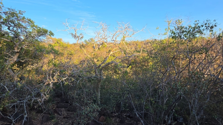 0 Bedroom Property for Sale in Verloren Estate Limpopo
