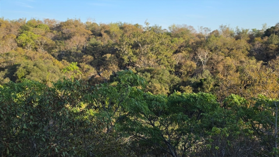 0 Bedroom Property for Sale in Verloren Estate Limpopo