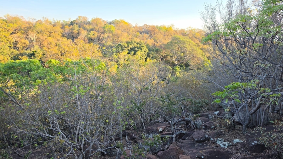 0 Bedroom Property for Sale in Verloren Estate Limpopo