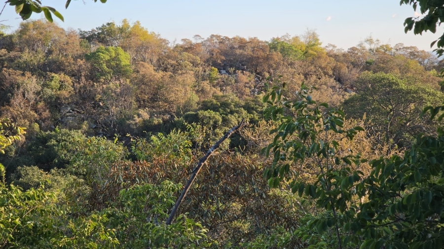 0 Bedroom Property for Sale in Verloren Estate Limpopo