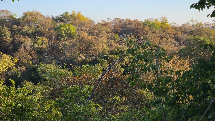 0 Bedroom Property for Sale in Verloren Estate Limpopo